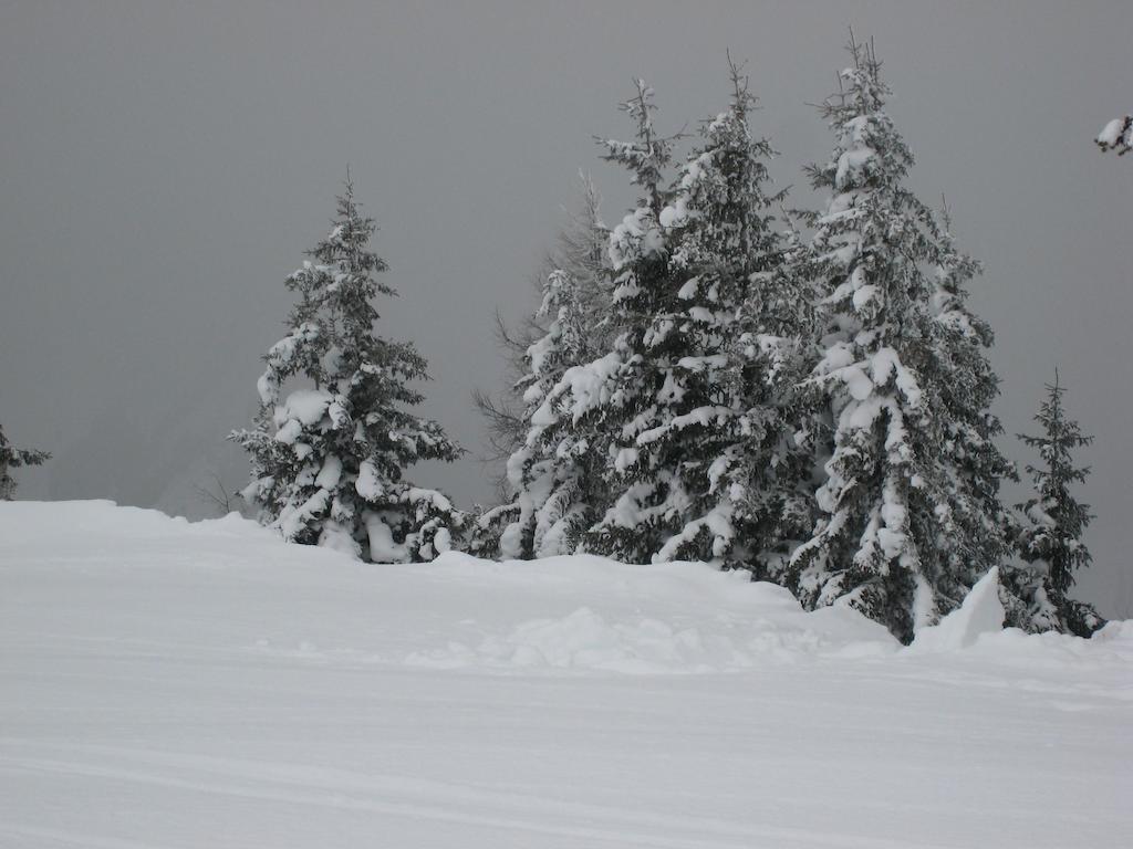 Schraberger - Top Alpin Amore Schladming Cameră foto
